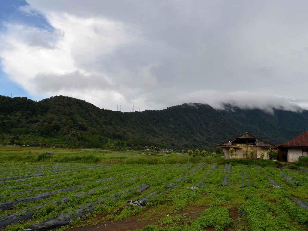 Dajan Buyan Homestay Bedugul  Luaran gambar