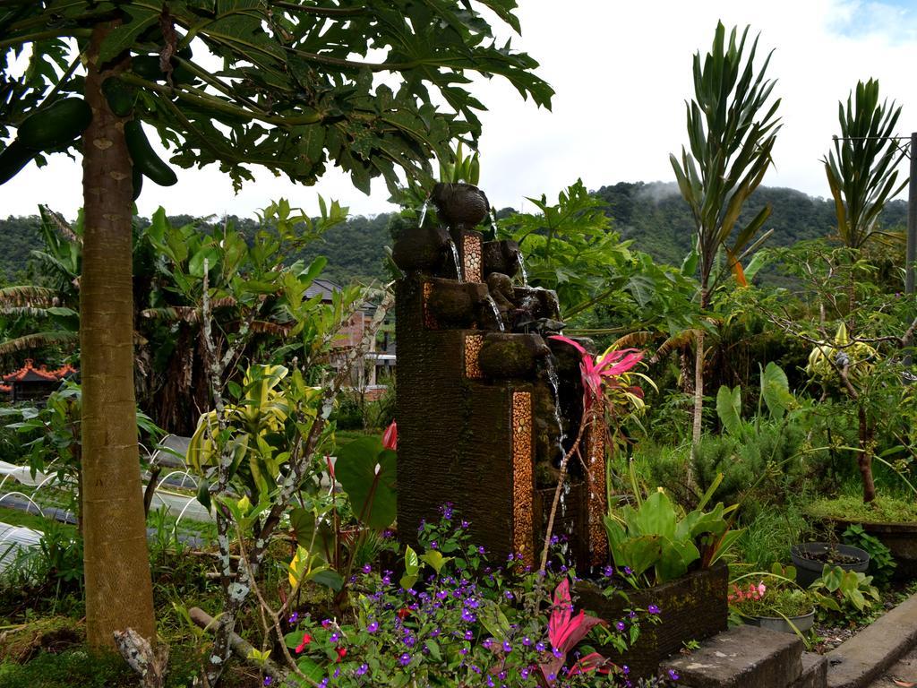 Dajan Buyan Homestay Bedugul  Luaran gambar